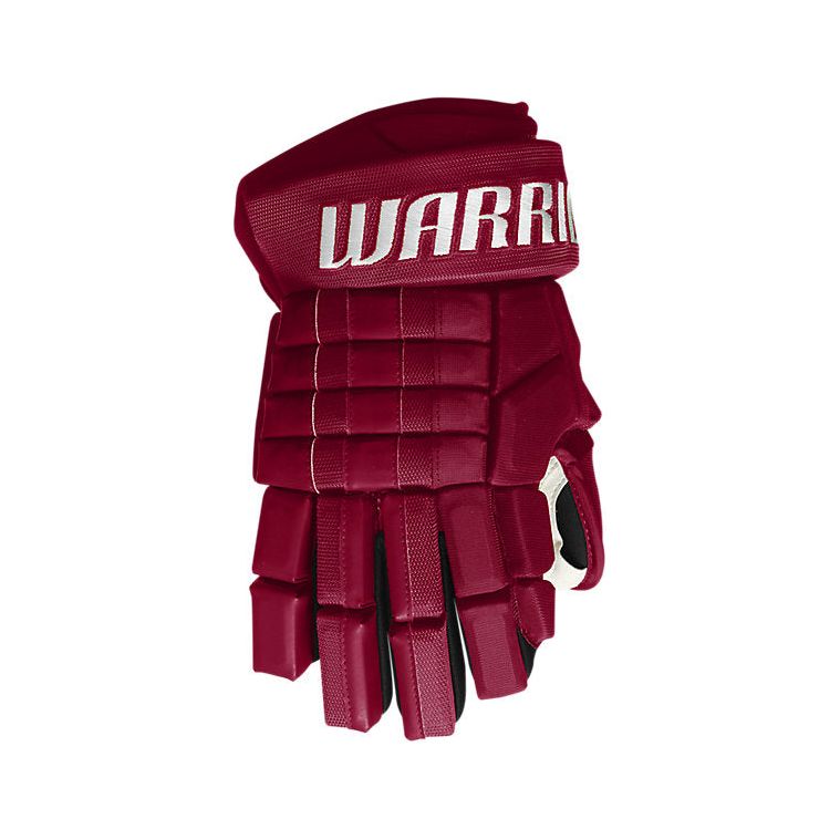 WARRIOR FRANCHISE Hokikesztyű Senior